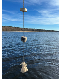 Masals žuvims + sistemėlė –... 2